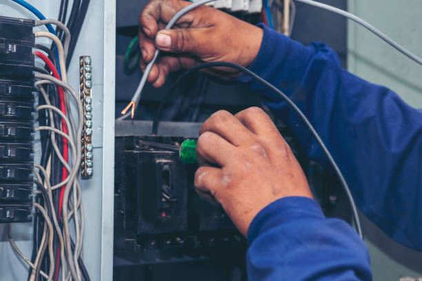 Best Electric Panel Repair  in Badieville, LA