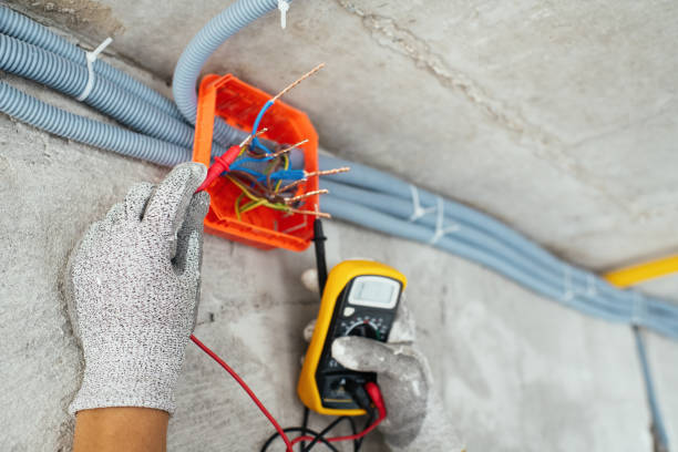 Best Generator Installation Services  in Badieville, LA